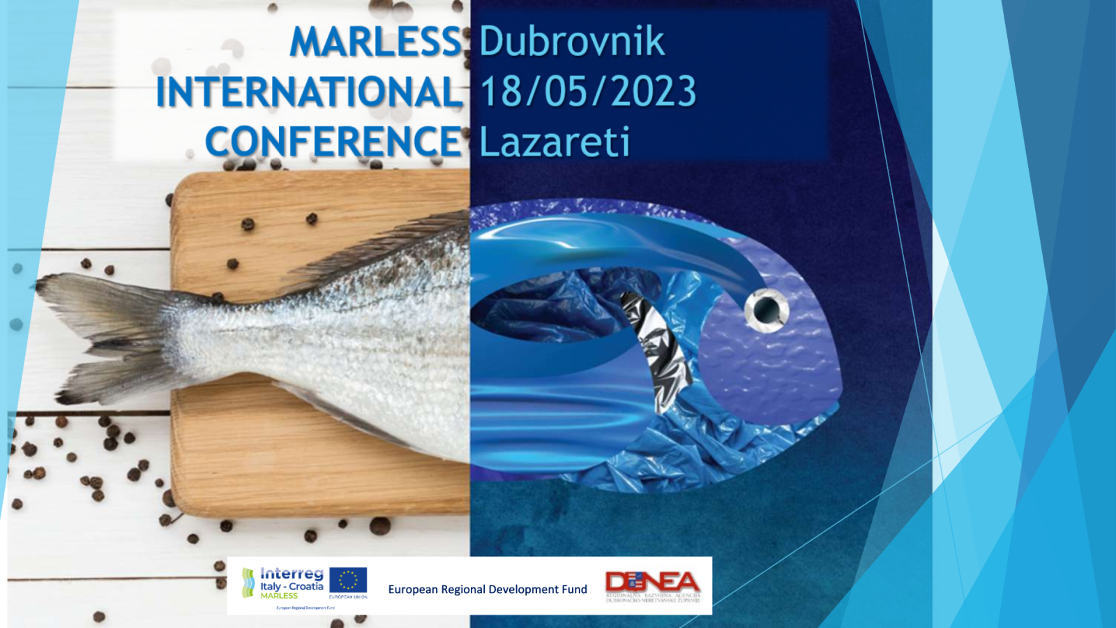 MARLESS konferencija.png